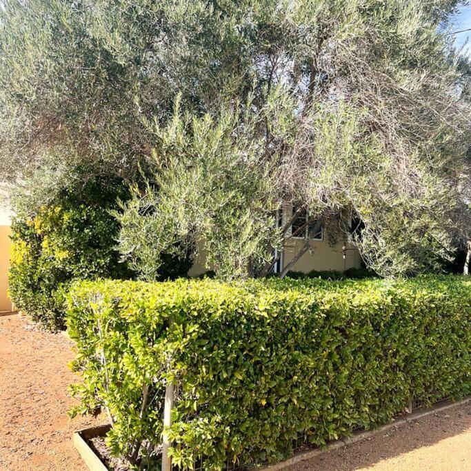 Holiday home Fitzroy Olive *